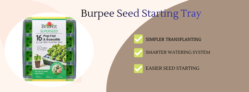 Burpee see starting Tray