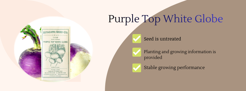 Purple top white globe
